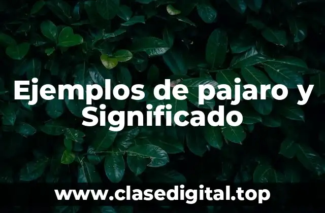 Ejemplos de pajaro y Significado