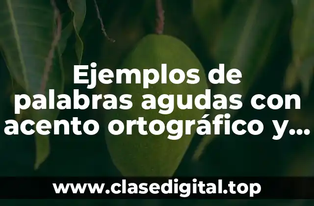 Ejemplos de palabras agudas con acento ortográfico y prosódico