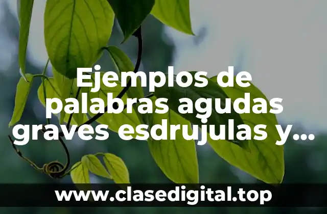 Ejemplos de palabras agudas graves esdrujulas y sobreesdrujulas con tilde y Significado