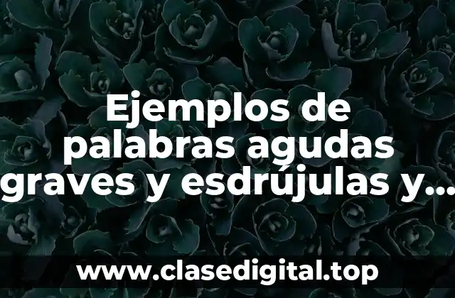 Ejemplos de palabras agudas graves y esdrújulas y Significado