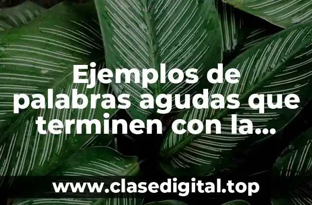 Ejemplos de palabras agudas que terminen con la sílaba mí