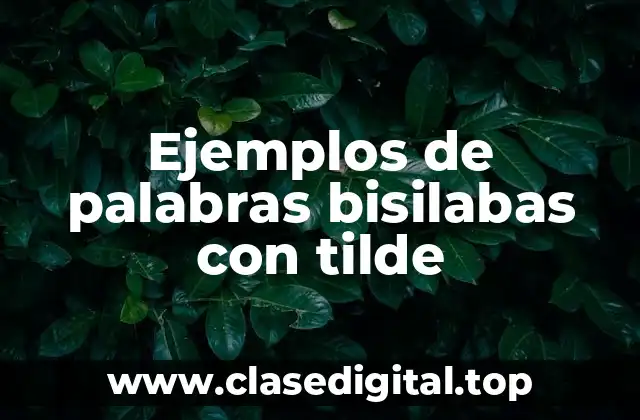 Ejemplos de palabras bisilabas con tilde