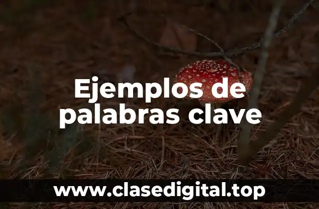 Ejemplos de palabras clave