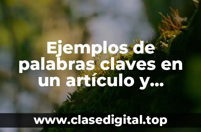 Ejemplos de palabras claves en un artículo y Significado