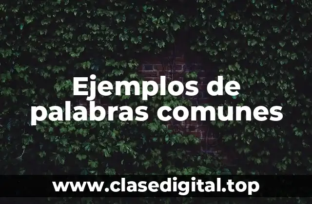 Ejemplos de palabras comunes