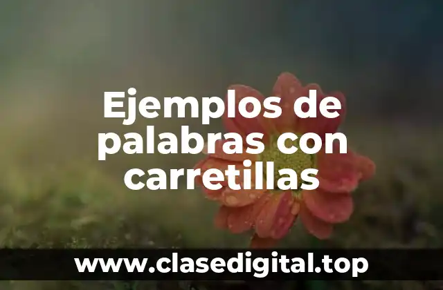 Ejemplos de palabras con carretillas