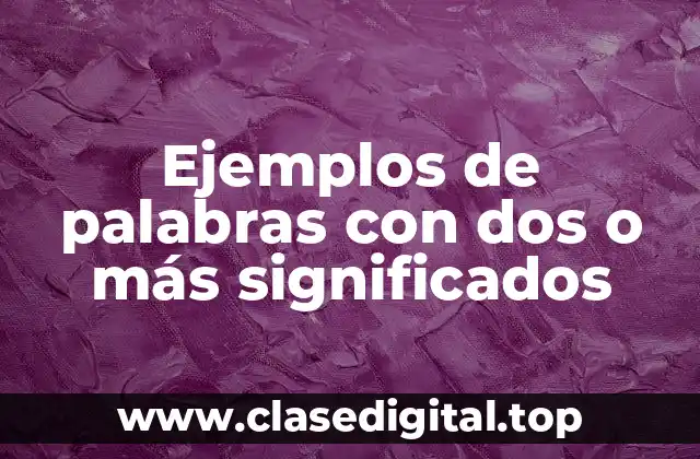 Ejemplos de palabras con dos o más significados