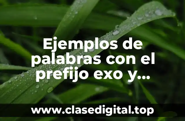 Ejemplos de palabras con el prefijo exo y Significado