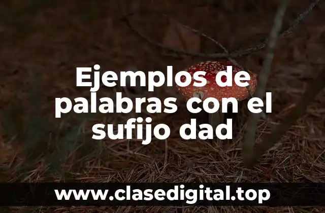 Ejemplos de palabras con el sufijo dad