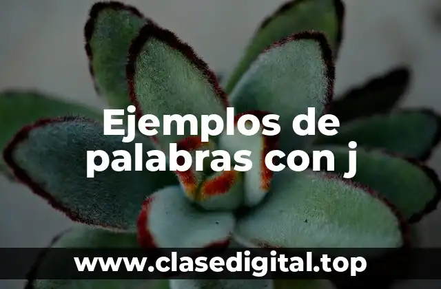 Ejemplos de palabras con j