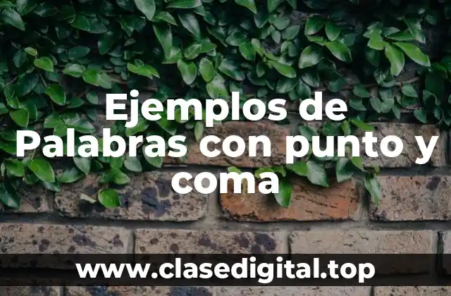 Ejemplos de Palabras con punto y coma