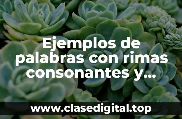Ejemplos de palabras con rimas consonantes y asonantes