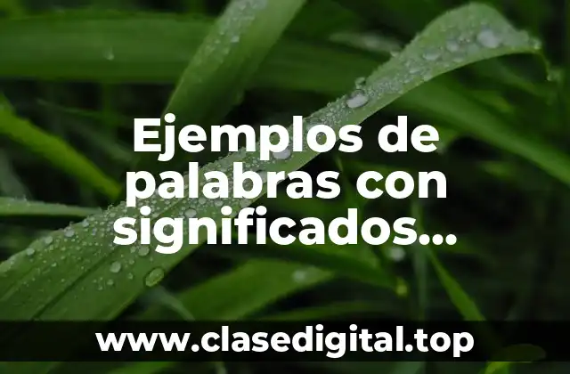 Ejemplos de palabras con significados denotativos y connotativos y Significado