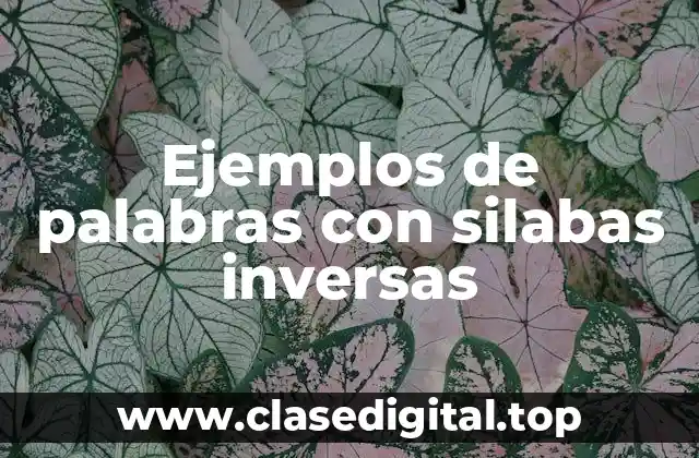 Ejemplos de palabras con silabas inversas
