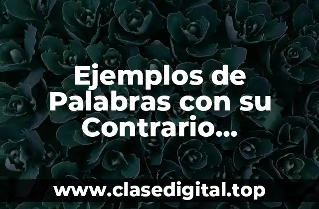 Ejemplos de Palabras con su Contrario Incluyendo el Prefijo In