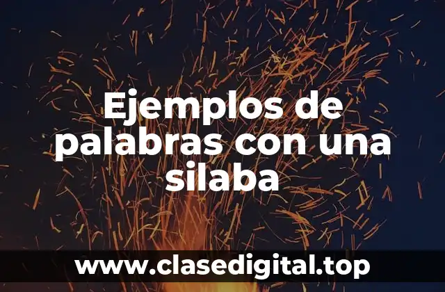 Ejemplos de palabras con una silaba
