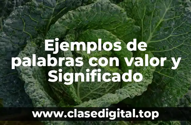 Ejemplos de palabras con valor y Significado