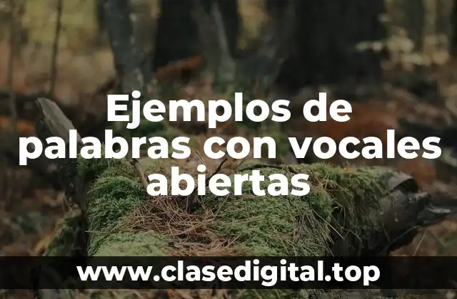 Ejemplos de palabras con vocales abiertas