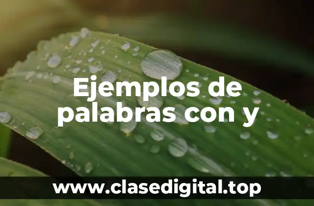 Ejemplos de palabras con y