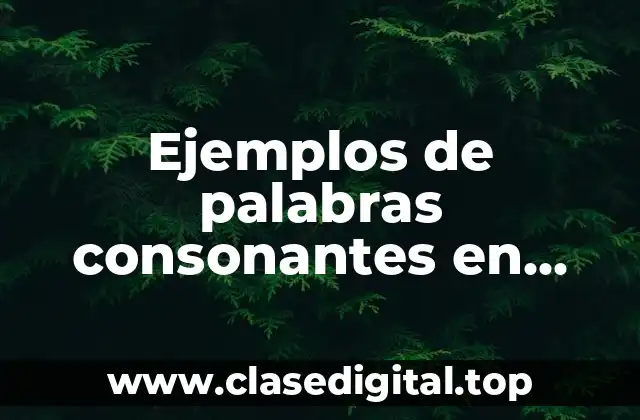 Ejemplos de palabras consonantes en inglés