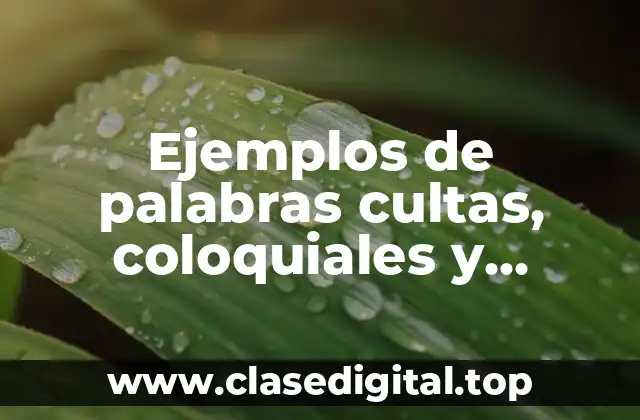 Ejemplos de palabras cultas