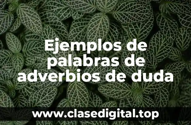 Ejemplos de palabras de adverbios de duda