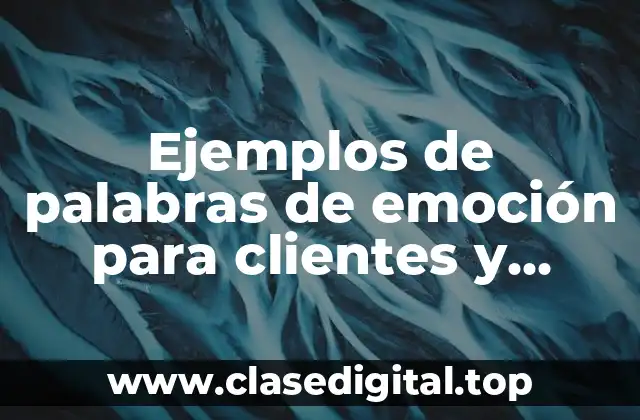 Ejemplos de palabras de emoción para clientes y Significado