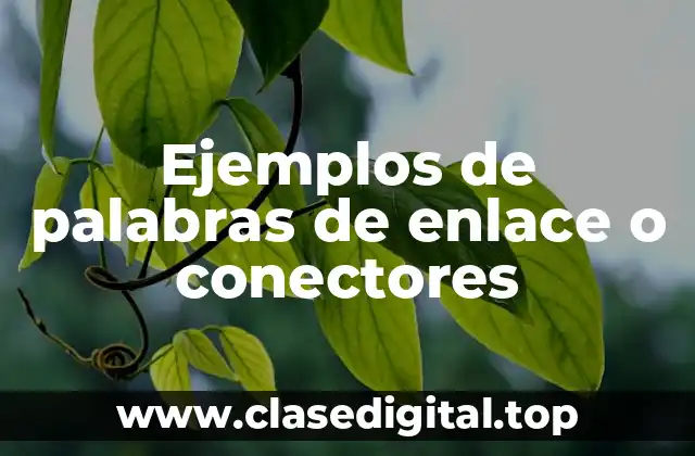 Ejemplos de palabras de enlace o conectores