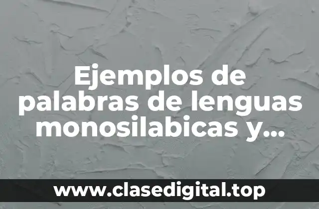Ejemplos de palabras de lenguas monosilabicas y Significado