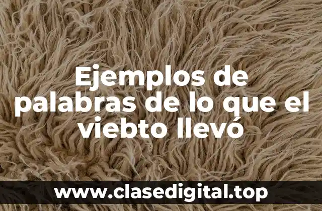 Ejemplos de palabras de lo que el viebto llevó