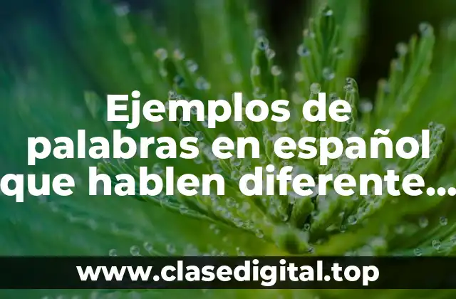 Ejemplos de palabras en español que hablen diferente en Venezuela