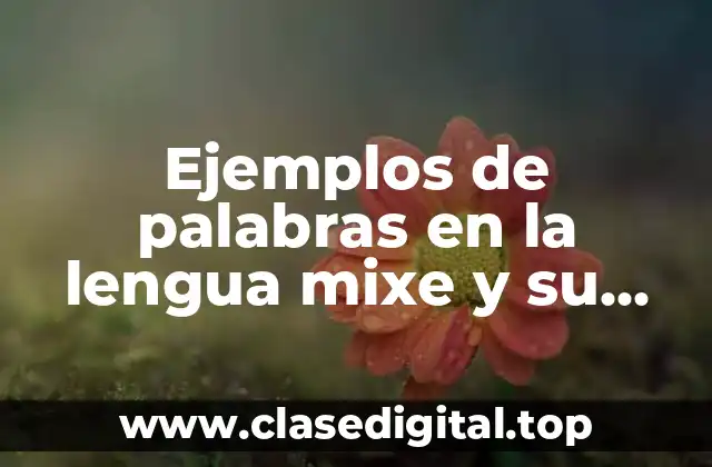 Ejemplos de palabras en la lengua mixe y su significado