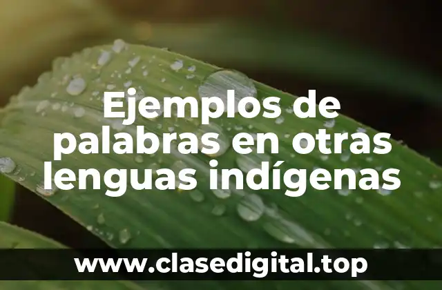 Ejemplos de palabras en otras lenguas indígenas