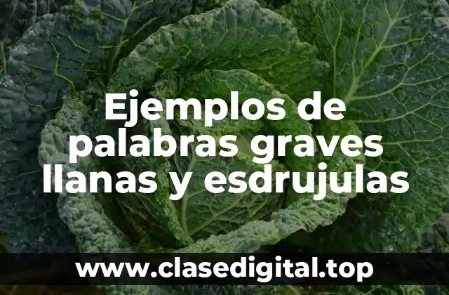 Ejemplos de palabras graves llanas y esdrujulas