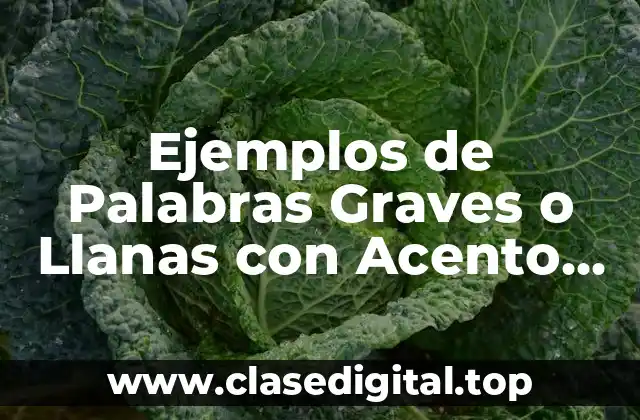Ejemplos de Palabras Graves o Llanas con Acento Prosodico