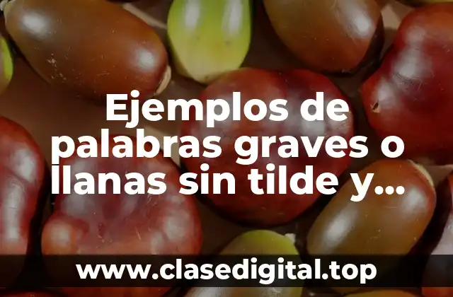 Ejemplos de palabras graves o llanas sin tilde