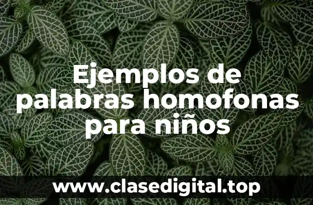 Ejemplos de palabras homofonas para niños