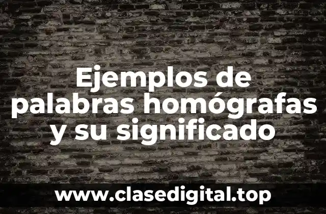 Ejemplos de palabras homógrafas y su significado
