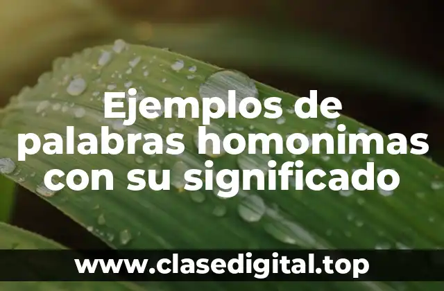 Ejemplos de palabras homonimas con su significado