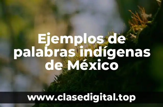 Ejemplos de palabras indígenas de México