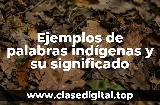 Ejemplos de palabras indígenas y su significado