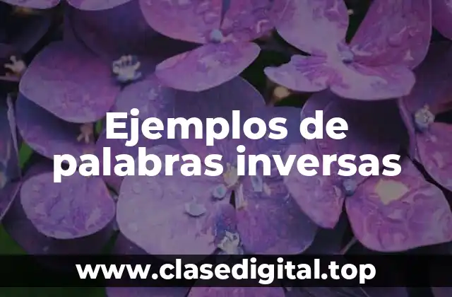Ejemplos de palabras inversas