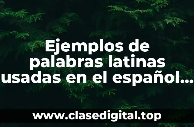 Ejemplos de palabras latinas usadas en el español y Significado