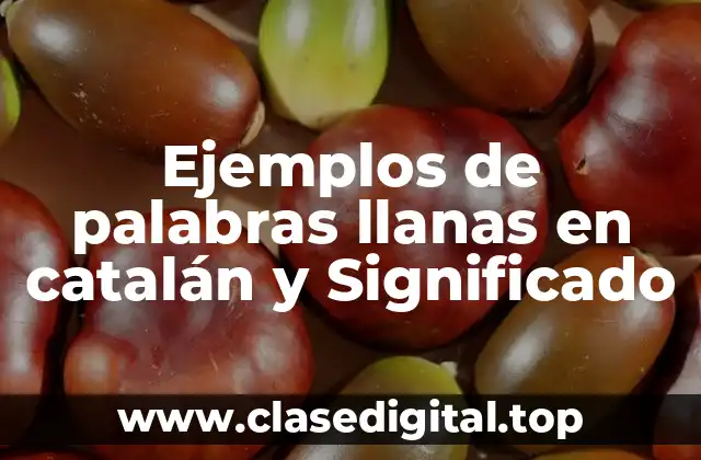 Ejemplos de palabras llanas en catalán y Significado