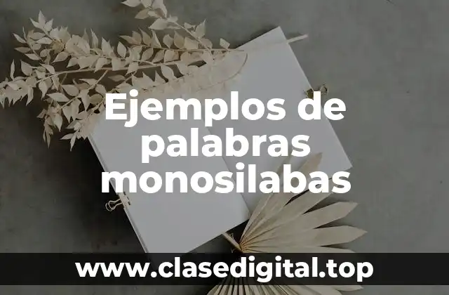 Ejemplos de palabras monosilabas