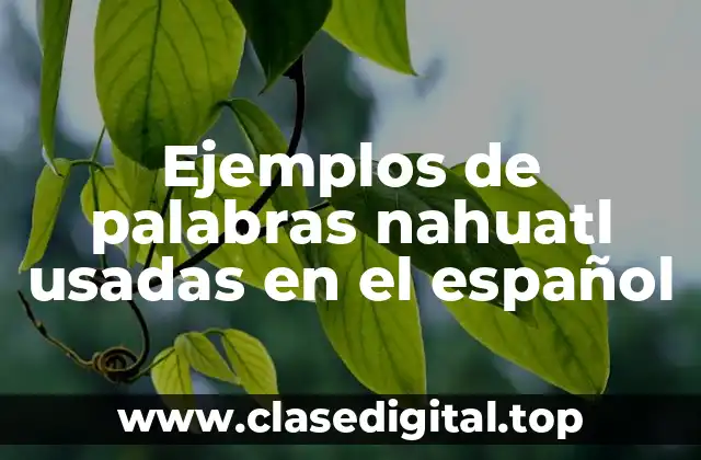 Ejemplos de palabras nahuatl usadas en el español