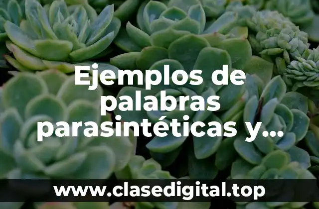 Ejemplos de palabras parasintéticas y derivadas