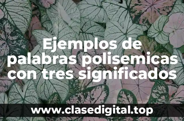 Ejemplos de palabras polisemicas con tres significados