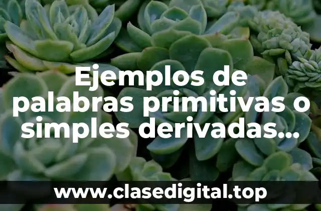 Ejemplos de palabras primitivas o simples derivadas compuestas