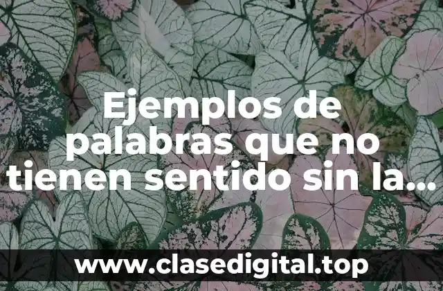 Ejemplos de palabras que no tienen sentido sin la oración